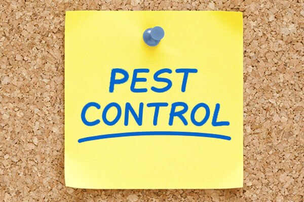 PROMAX PEST CONTROL 13 Reviews 1811 N Larrabee Chicago Illinois 