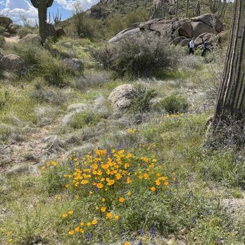 Granite Mountain Trailhead - Hiking Near Me - Scottsdale, Arizona