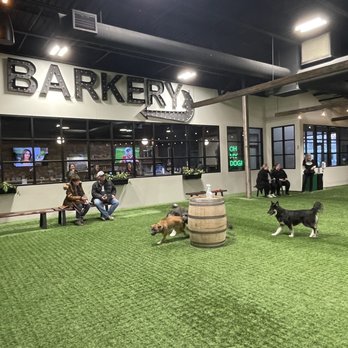 Brew Park - Indoor dog park area - Dog Parks Near Me - Plymouth, Minnesota Brew Park - Indoor dog park area - Dog Parks Near Me - Plymouth, Minnesota