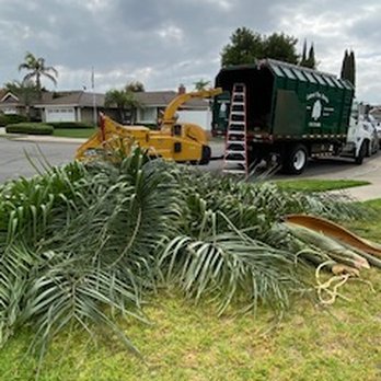 Cabral Tree Service - undefined - Tree Services Near Me - Garden Grove, California Cabral Tree Service - undefined - Tree Services Near Me - Garden Grove, California