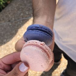 Alchemy Macarons - Macaroons