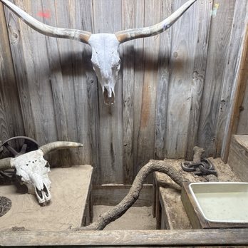 Dixie Chicken - Rattlesnakes - American Near Me - College Station, Texas