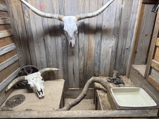 Dixie Chicken by null