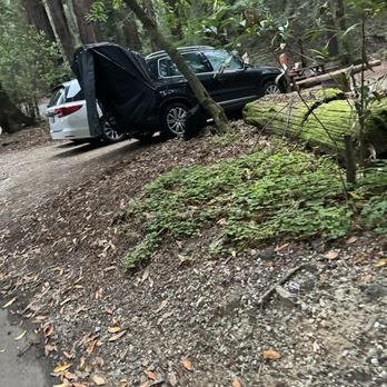 Ventana Campground - I was told no car camping. But woke up to this! - Campgrounds Near Me - Big Sur, California