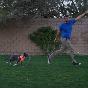 Mindful Paw - Life is short. Give your dog and yourself a good, happy life. Emily rocks! - Pet Training Near Me Mindful Paw - Life is short. Give your dog and yourself a good, happy life. Emily rocks! - Pet Training Near Me