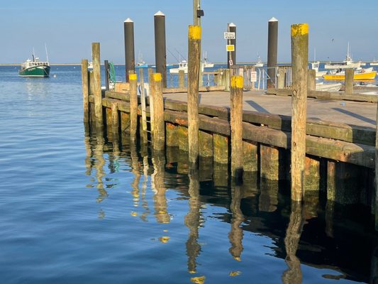 Chatham Pier Fish Market by null