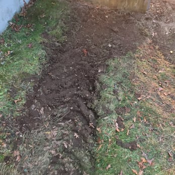 North Eastern Tree Service - Tree Services Near Me - Cranston, Rhode Island
