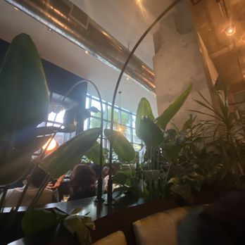 Nari - Inside plants and ambiance - Thai Near Me - San Francisco, California Nari - Inside plants and ambiance - Thai Near Me - San Francisco, California