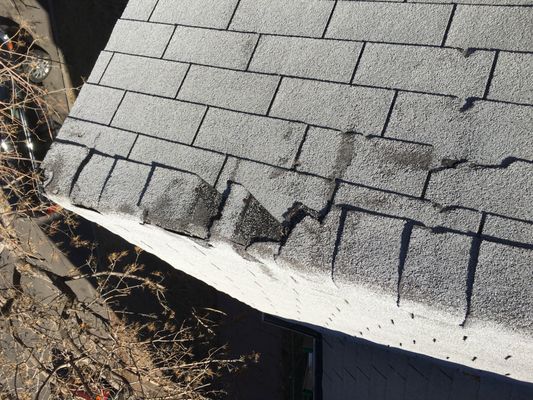 Integrity Pro Roofing by null