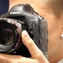 Photo of Foto Wolf