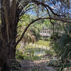 Paradise Life E-Bikes - Unlock Tampa Bay's best-kept secrets! Let expert guides lead you to stunning hidden gems on a thrilling e-bike tour. Book your ride today!