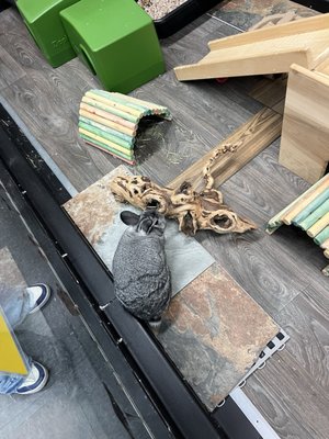 The Lawrence Hall of Science by null