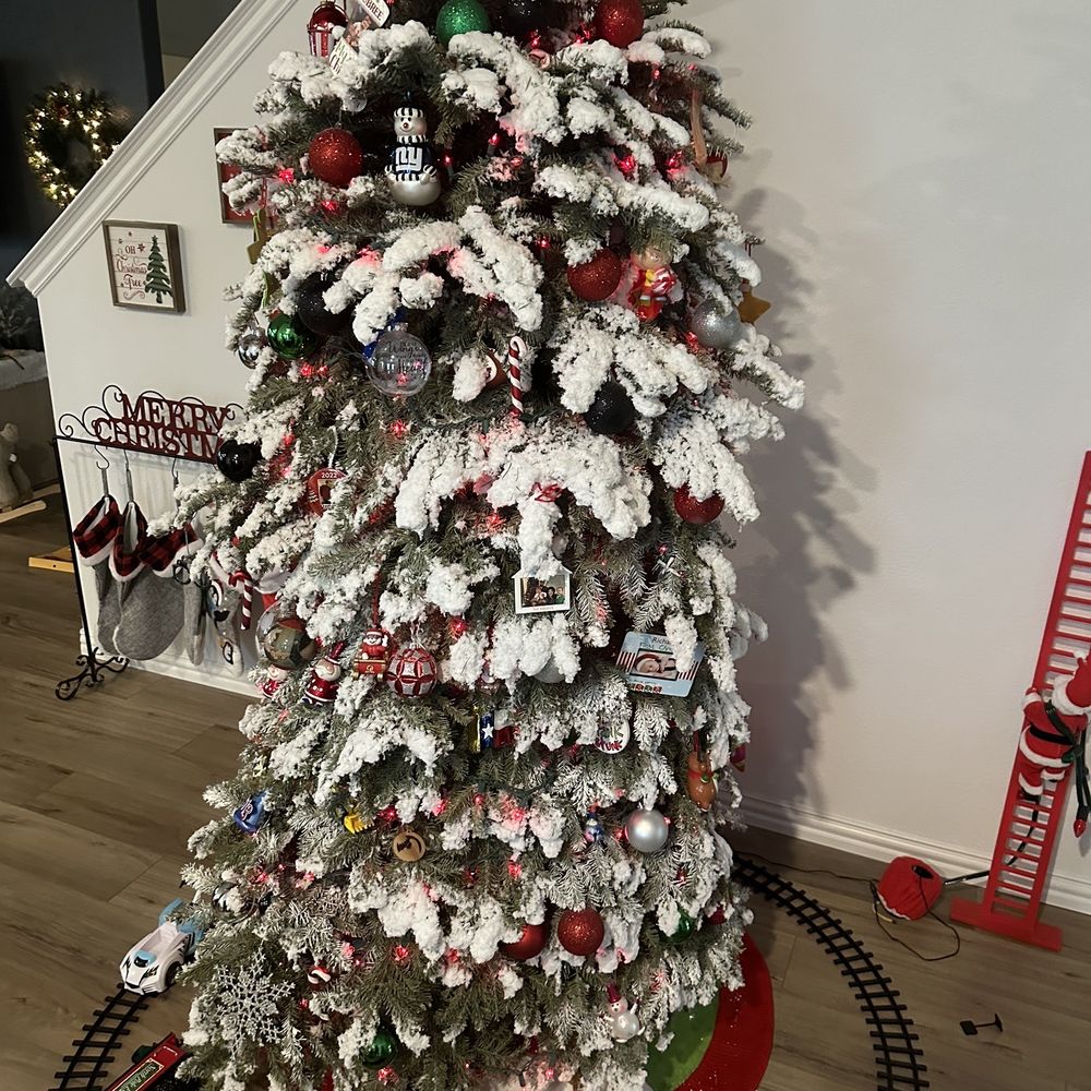 Calloway's Nursery - After, dying tree - Nurseries & Gardening Near Me - Plano, Texas Calloway's Nursery - After, dying tree - Nurseries & Gardening Near Me - Plano, Texas
