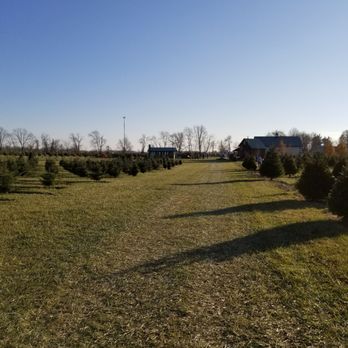 Sambol's Tree Farm - Christmas Trees Near Me - Fortville, Indiana Sambol's Tree Farm - Christmas Trees Near Me - Fortville, Indiana