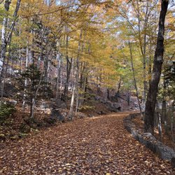 Acadia Bike Rentals