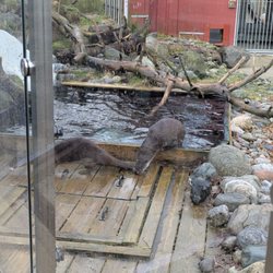Akvariet i Bergen