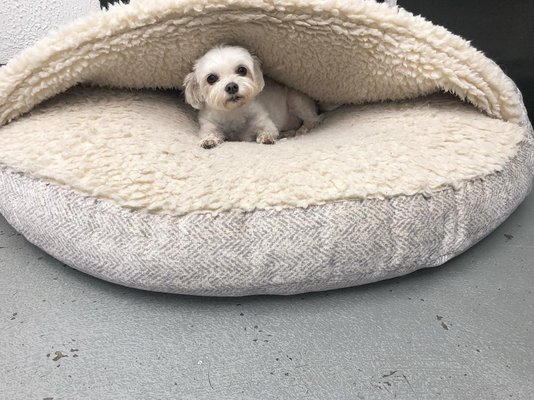 Crate Escape by null