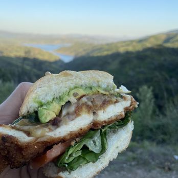Rincon Brewery - Chicken Milanese Sandwich! This thing was massive this was half and it was bigger than my hand - Breweries Near Me - Carpinteria, California