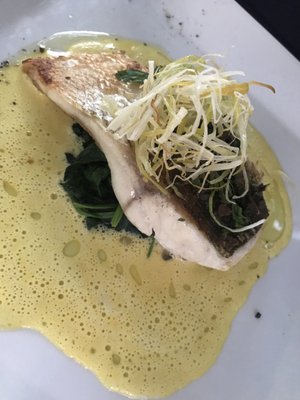 Terra di Vino by null