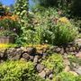 Photo of The Garden Specialists