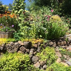 The Garden Specialists - Amazing terraced perennial garden I maintain in Old Bend