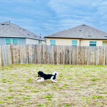 Alkam Pet Services - Pet Boarding Near Me Alkam Pet Services - Pet Boarding Near Me