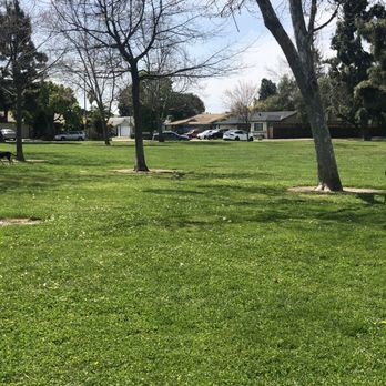 Crandall Creek Park - Just greenery and trees. - Playgrounds Near Me - Fremont, California