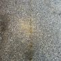 Photo of Global Garage Flooring & Design