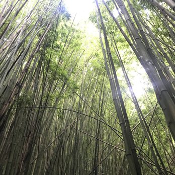 Pipiwai Trail - Hiking Near Me - Hana,, Hawaii