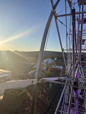Tanana Valley State Fair Association by null