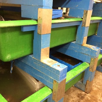 Lobster Maine-ia - Lobster tank. - Seafood Markets Near Me - Chantilly, Virginia
