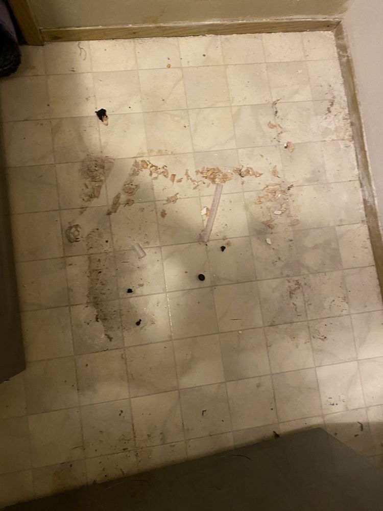 Slide of Repipe Specialists - Seattle