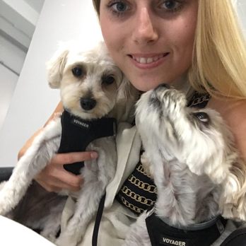 Bark Avenue Grooming - Pet Groomers Near Me - New York, New York