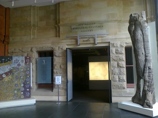 South Australian Museum by null