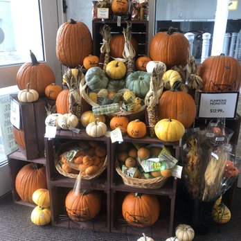 The Fresh Market - Pumpkin display. - Grocery Near Me - Doral, Florida The Fresh Market - Pumpkin display. - Grocery Near Me - Doral, Florida