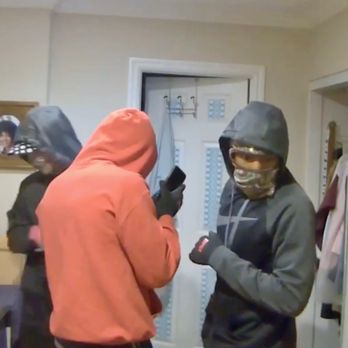 Nixtermite - Thieves in my home. - Pest Control Near Me - Bonita, California Nixtermite - Thieves in my home. - Pest Control Near Me - Bonita, California