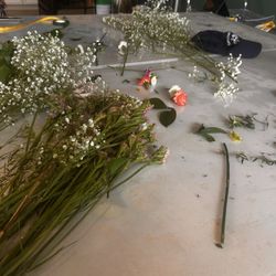 user provided SoBro Flower photo