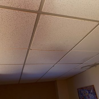 Econo Lodge Inn & Suites - Sagging part of ceiling with what sounds like rats, mice or squirrels up above constantly scurrying around - Hotels Near Me - Walnut, Iowa Econo Lodge Inn & Suites - Sagging part of ceiling with what sounds like rats, mice or squirrels up above constantly scurrying around - Hotels Near Me - Walnut, Iowa