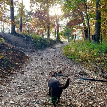 Castlewood State Park - Parks Near Me - Ballwin, Missouri