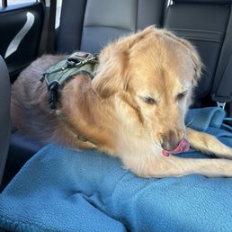 Fresh from the spa! Fresh from the spa!