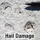 Slide of Roof Doctor