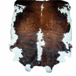 Cuir Boilard