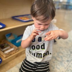 New Adventures Montessori - Brayden checking out the bug work