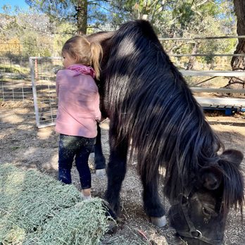 Cable Canyon Trail Rides - Horseback Riding Near Me - San Bernardino, California