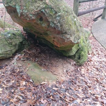 Mississippi Petrified Forest - Museums Near Me - Flora, Mississippi