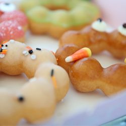 Mochi Lion Riverside - Mochi Donuts - Original, Pumpkin Pie, Green Apple, Strawberry (Halloween edition)