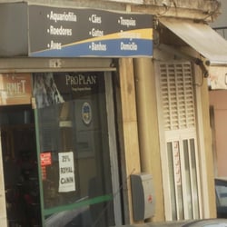 Avipeixe