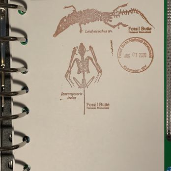 Fossil Butte National Monument - Reproductions of site fossils as rubber stamps! - Museums Near Me - Kemmerer, Wyoming