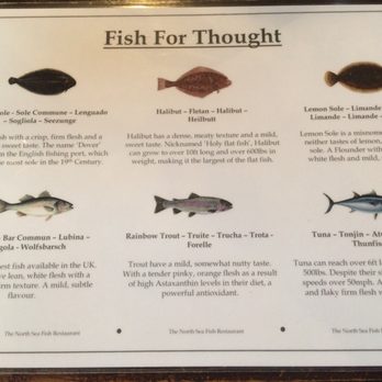 North Sea Fish Restaurant - Seafood Near Me - London, XGL North Sea Fish Restaurant - Seafood Near Me - London, XGL