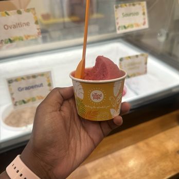 Island Pops - Sorrel Rum Sorbet - Ice Cream & Frozen Yogurt Near Me - Brooklyn, New York